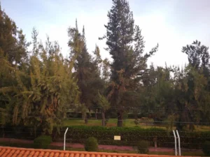 Foto 19